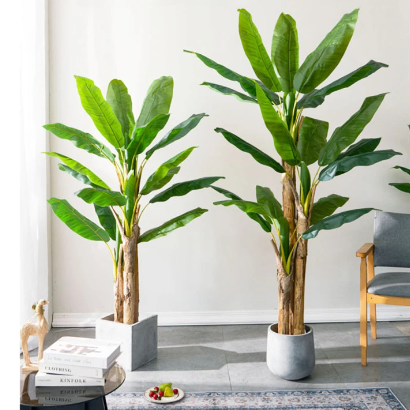 Bonsai Garden Restaurant - 180cm/210cm 대형 바나나 나무 화분에 심은