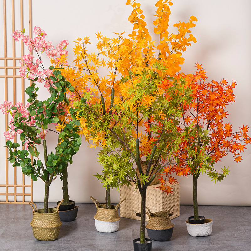 인공 붉은 단풍 나무 화분에 심은 은행 나무 잎 분재  - Bonsai Garden Restaurant 리뷰 및 가격